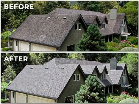 Roof wash before and after